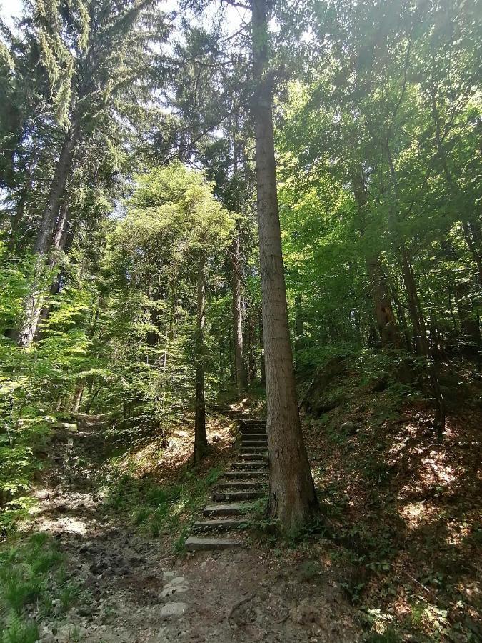 Petkovi Аpartments, Borovets Gardens - One-Bedroom And Two-Bedroom Apartments Esterno foto
