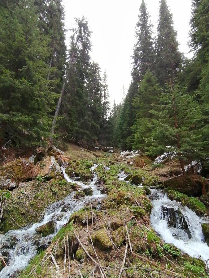 Petkovi Аpartments, Borovets Gardens - One-Bedroom And Two-Bedroom Apartments Esterno foto