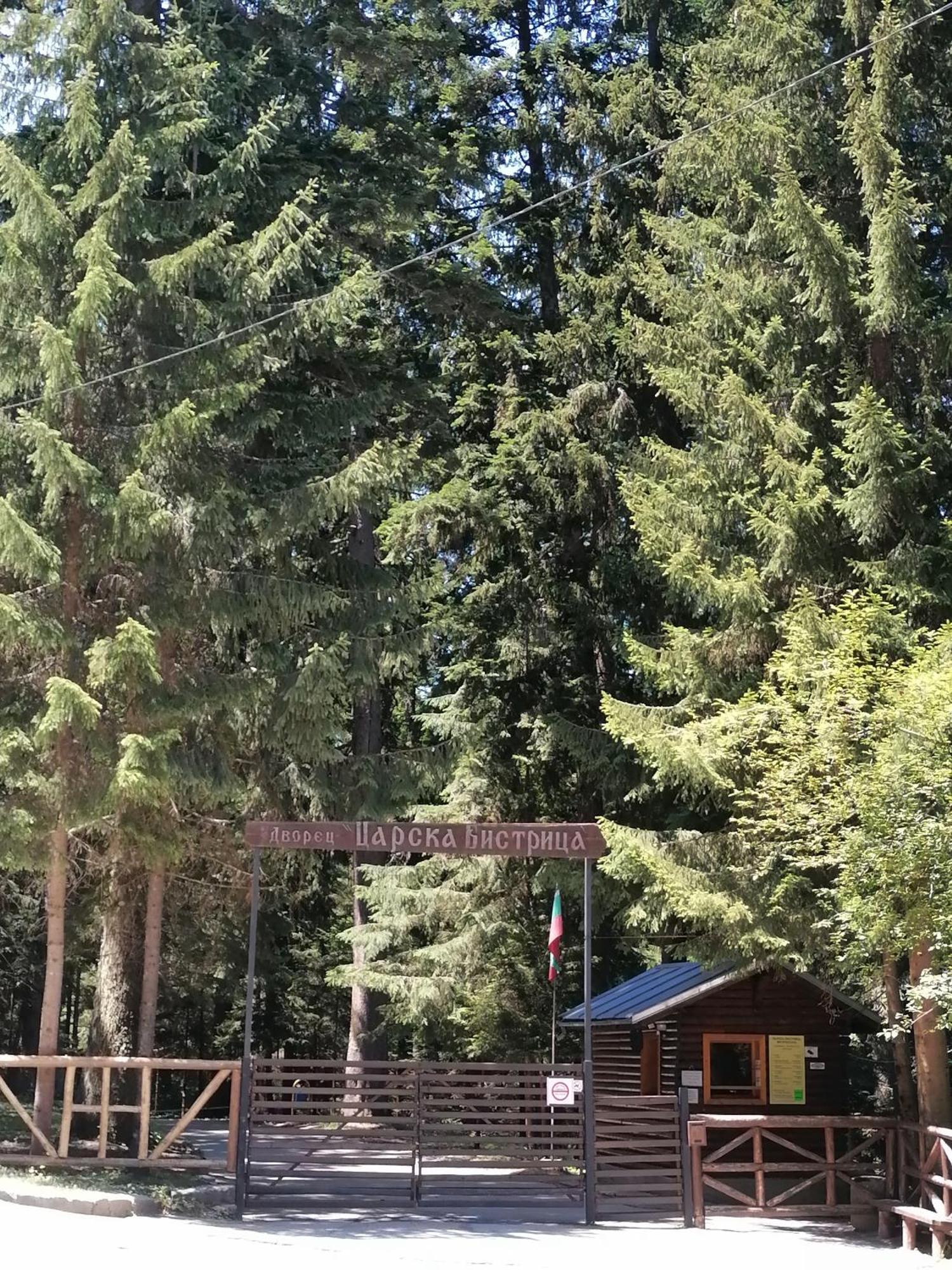 Petkovi Аpartments, Borovets Gardens - One-Bedroom And Two-Bedroom Apartments Esterno foto